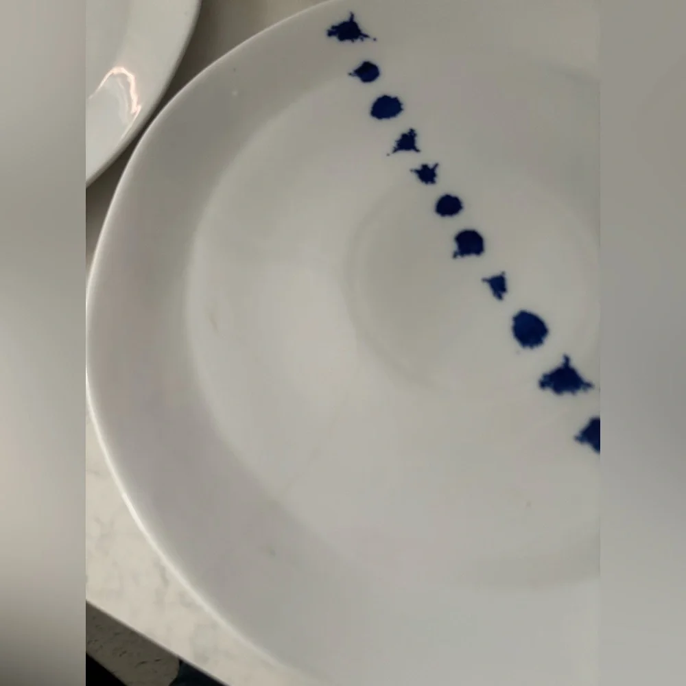 West Elm Blue Splatter Dinner Plate - 4